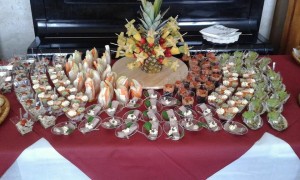 Catering (24)  